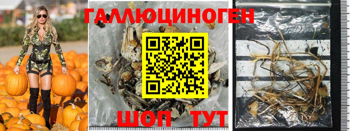 Галлюциногенные грибы прущие грибы Рубцовск