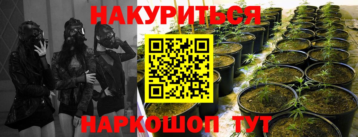 Бошки марихуана VHQ Рубцовск